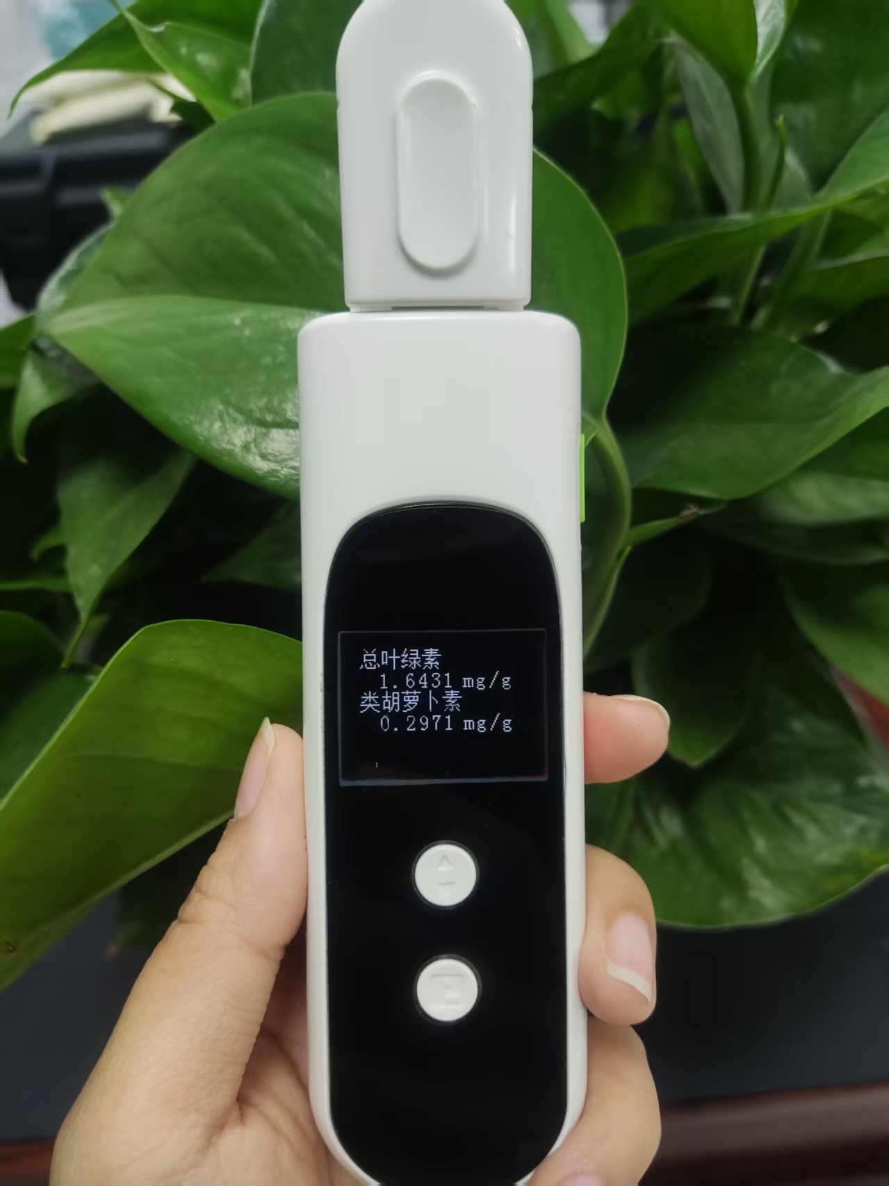 植物光合色素测定仪