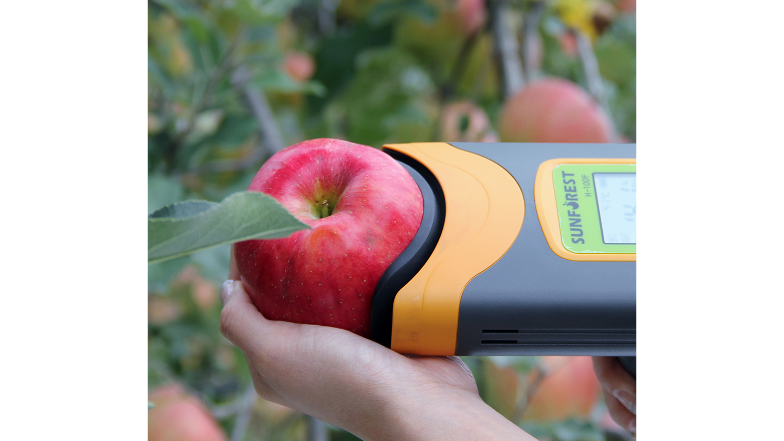 H100系列果实品质检测仪