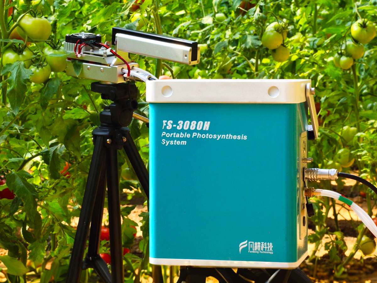 FS-3080H光合作用测定仪-泛胜科技