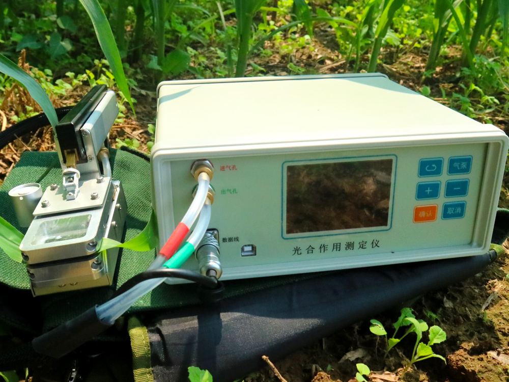 新款FS-3080D光合作用测定仪