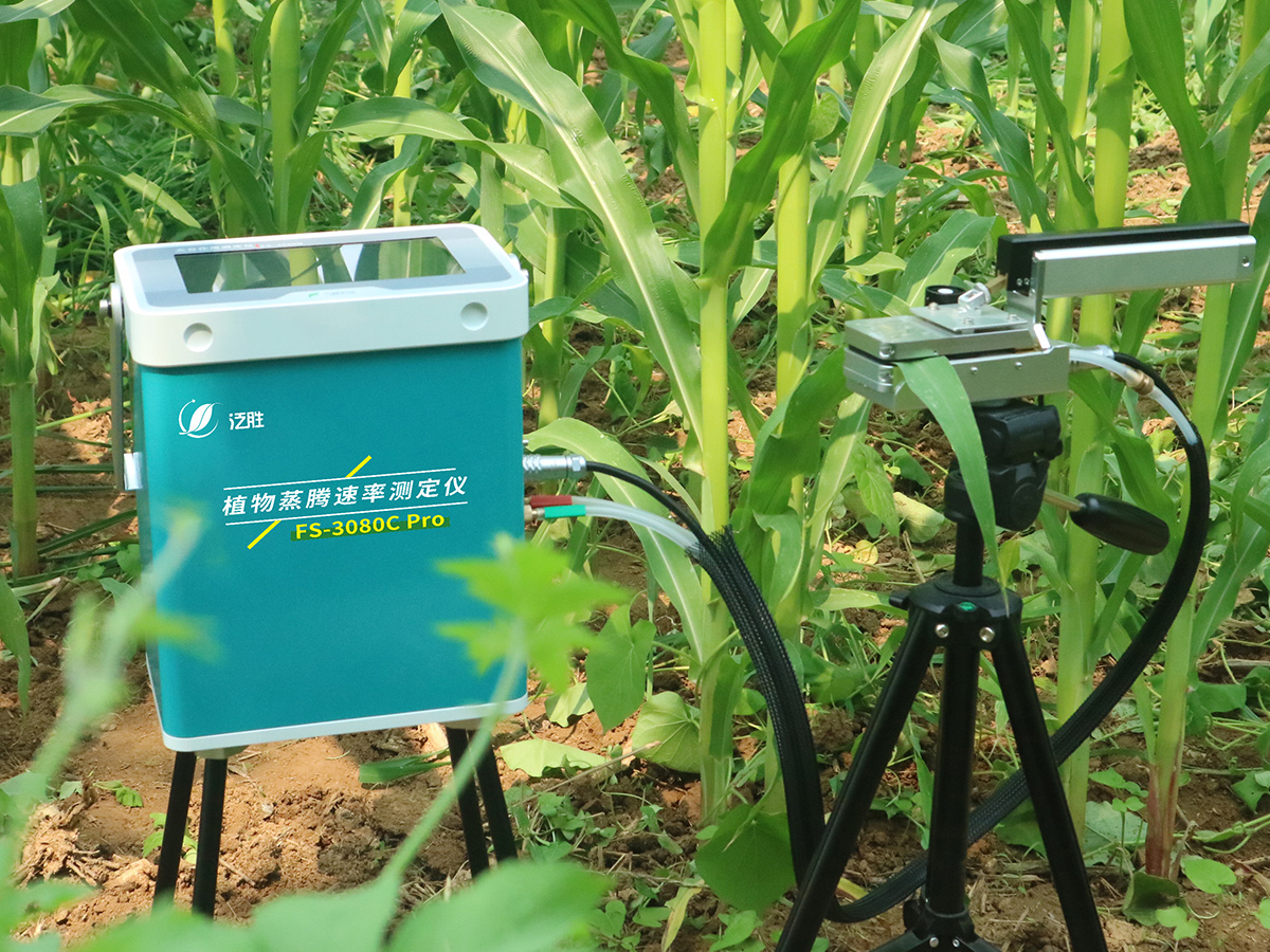 FS-3080C Pro植物蒸腾速率测定仪-泛胜科技