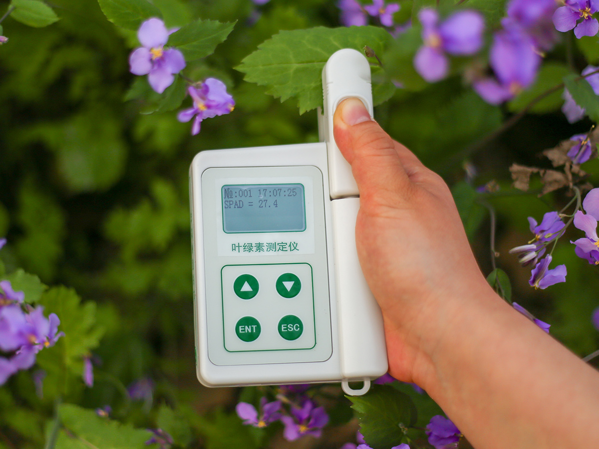 叶绿素仪,泛胜YLS叶绿素检测仪