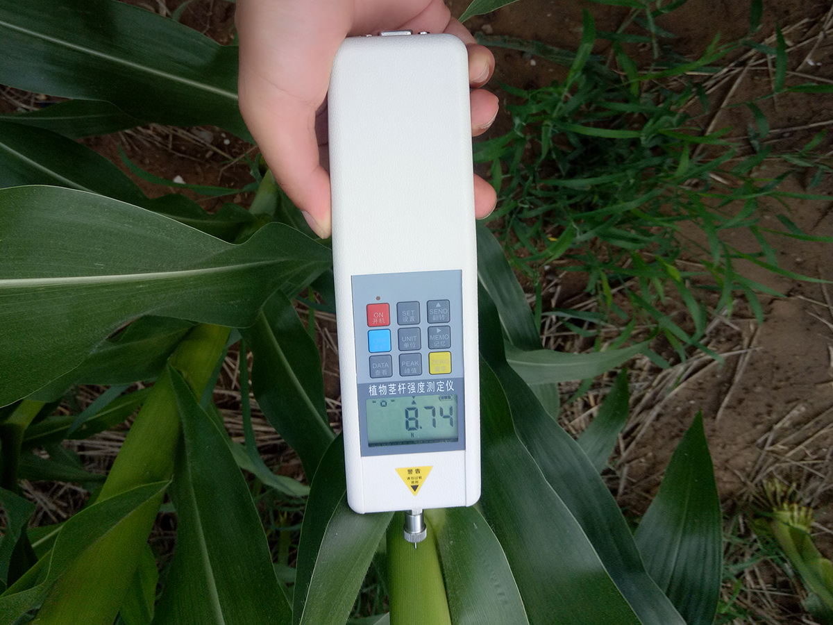 泛胜DDZ系列植物抗倒伏测定仪