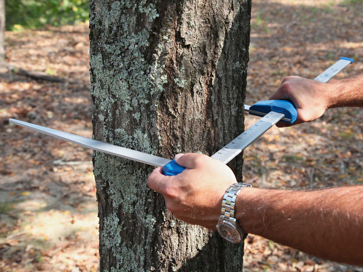 Mantax blue 蓝色测径仪